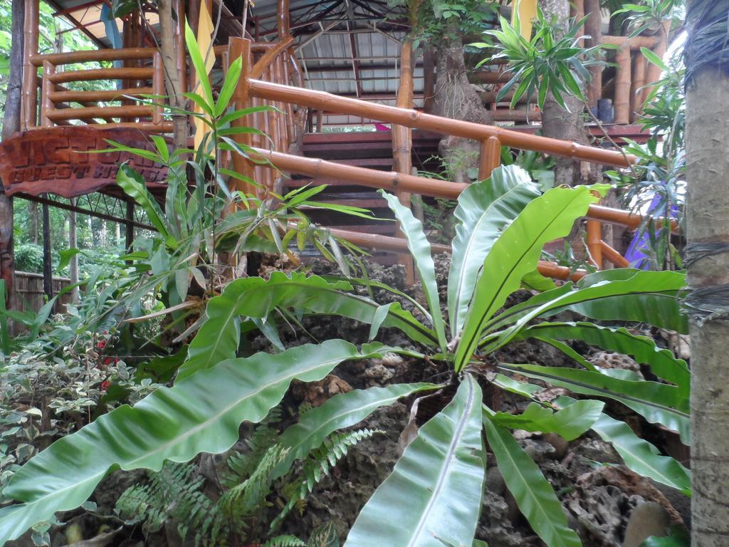 Victoria Guest House And Cottages Puerto Princesa Exterior photo