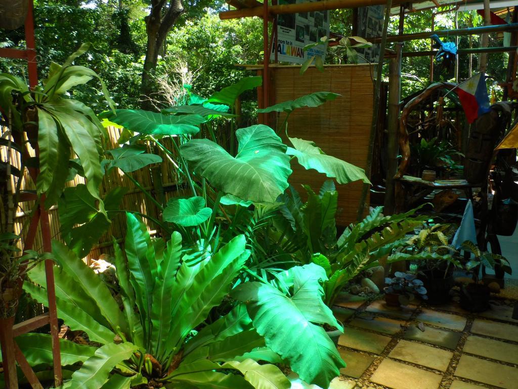 Victoria Guest House And Cottages Puerto Princesa Exterior photo